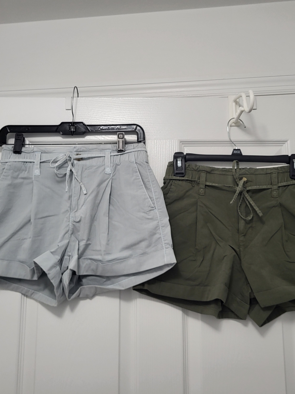 Light blue and olive green chino shorts Aerie 00 NWT